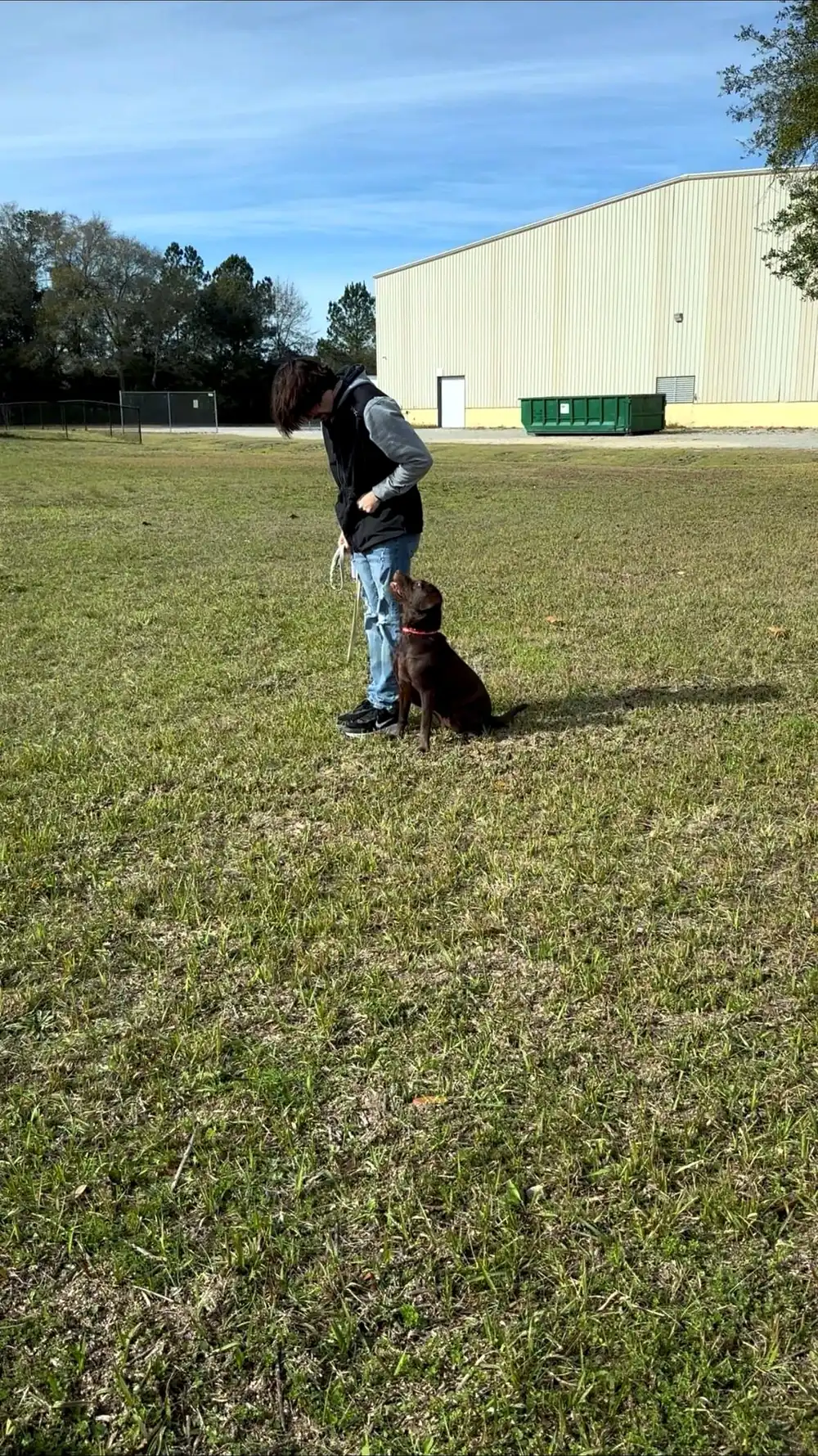 Michael Long working a sit with a chocolate Labrador during an outdoor session